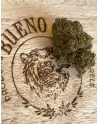 Tangie Haze
