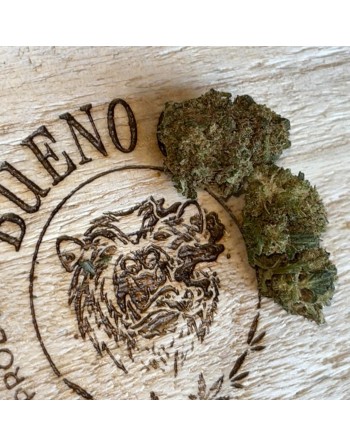 Skunk