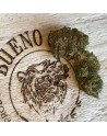 Skunk