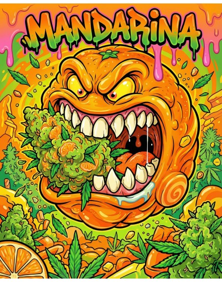 illustration de mandarine hydro