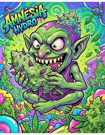 illustration de l'amnésia hydro