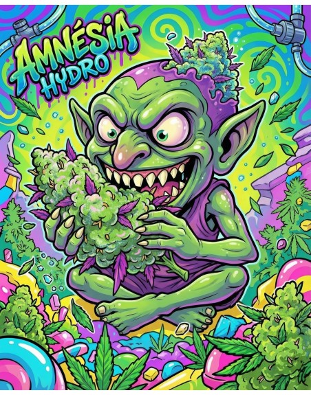 illustration de l'amnésia hydro