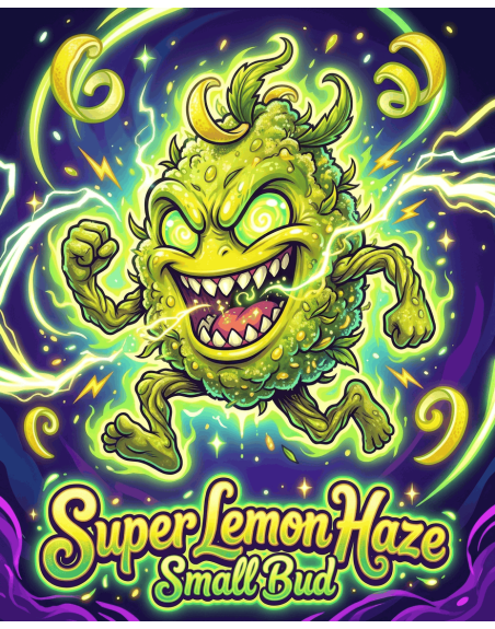 illustration de la super lemon haze