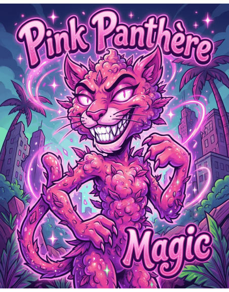 illustration de la variété Pink Panthère Magic