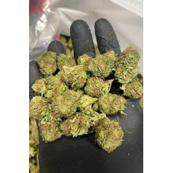 Cannatonic small bud