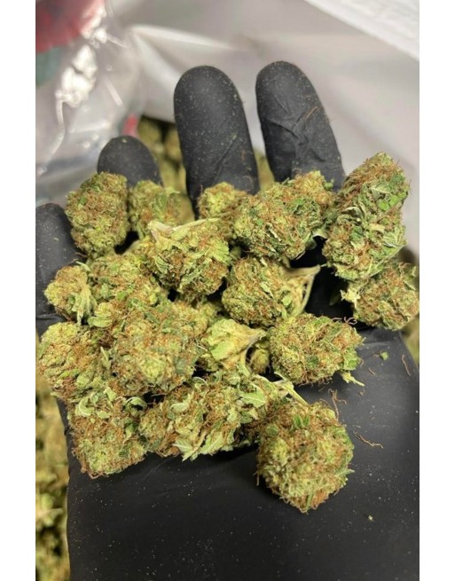Cannatonic small bud