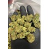 Cannatonic small bud