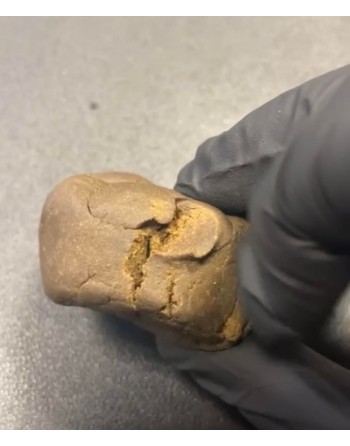 Pongo hash