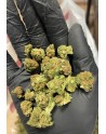 Skunk
